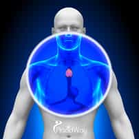 What You Should Know About Thymus Cancer and Its Treatments 